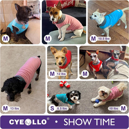 2 Pack Dog Sweatshirts Fleece Jacket with Reflective Stripe Pullover Stretchy Dog Sweater Soft Pet Clothes Lightweight Dog Sweaters for Small Dogs Turquoise & Grey